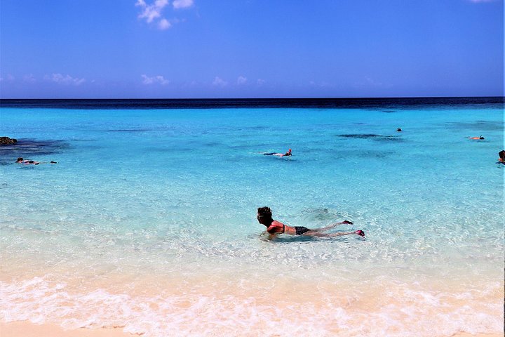 Entdecken Sie die Highlights von Curaçao: Flamingos, Nationalpark, Schildkröten, Strände und Blue Curaçao Likör, Foto 16 | wizardtrip