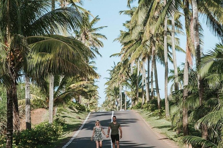 Passeio cénico pelo sudoeste de Maurícia, com marcos naturais como Trou aux Cerfs e Grand Bassin, foto 20 | wizardtrip