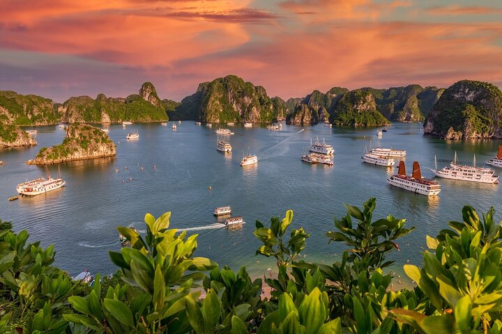 Luxe 5-sterren cruise die door de prachtige kalkstenen karstgebergtes van Ha Long Bay en Lan Ha Bay, Vietnam vaart, foto 19 | wizardtrip