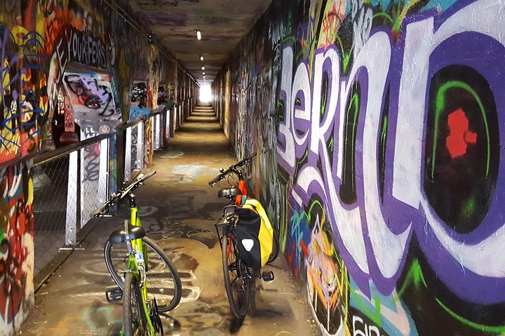 Udforsk Atlantas livlige kvarterer, gadegalleri og historiske steder på en guidet cykeltur, foto 9 | wizardtrip