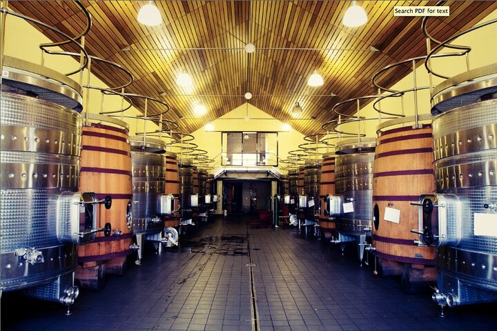 Tour de medio día de vinos desde Ciudad del Cabo a Stellenbosch, con degustaciones, maridajes y visitas a bodegas, foto 9 | wizardtrip