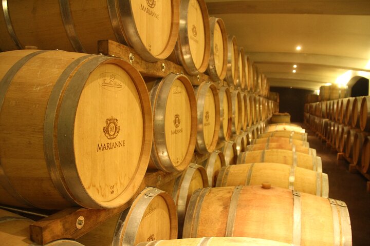 Tour de medio día de vinos desde Ciudad del Cabo a Stellenbosch, con degustaciones, maridajes y visitas a bodegas, foto 18 | wizardtrip