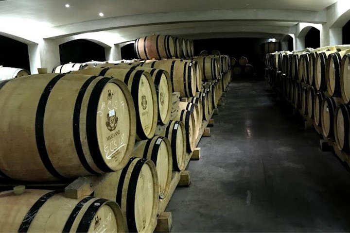 Tour de medio día de vinos desde Ciudad del Cabo a Stellenbosch, con degustaciones, maridajes y visitas a bodegas, foto 22 | wizardtrip