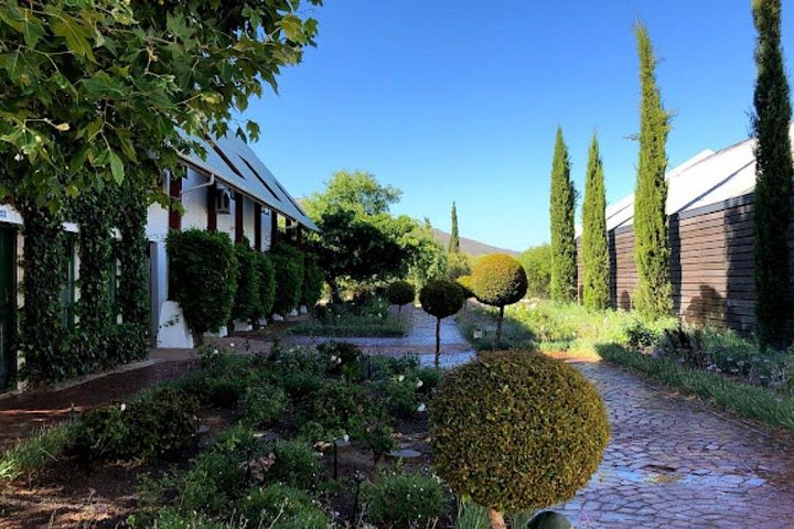 Tour de medio día de vinos desde Ciudad del Cabo a Stellenbosch, con degustaciones, maridajes y visitas a bodegas, foto 23 | wizardtrip
