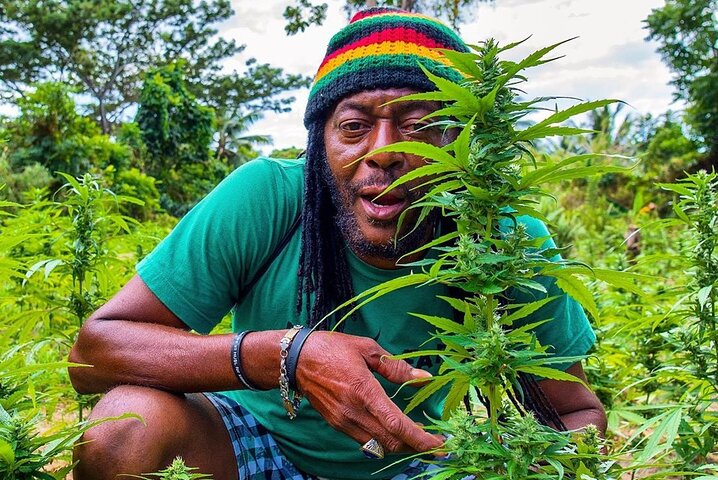 Expérience Communautaire Rastafari en Quad depuis Montego Bay | wizardtrip