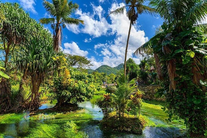Aventure en quad à travers la campagne jamaïcaine, visite de villages, fermes et piscines naturelles, photo 6 | wizardtrip