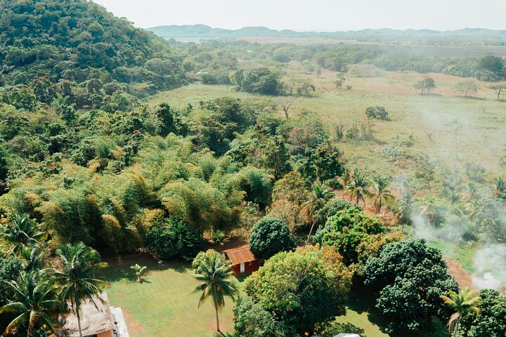 Aventure en quad à travers la campagne jamaïcaine, visite de villages, fermes et piscines naturelles, photo 8 | wizardtrip