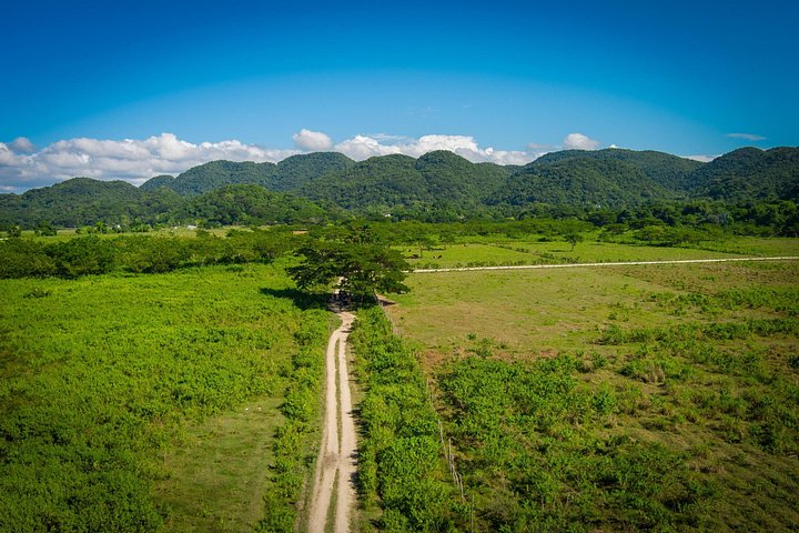 Aventure en quad à travers la campagne jamaïcaine, visite de villages, fermes et piscines naturelles, photo 15 | wizardtrip