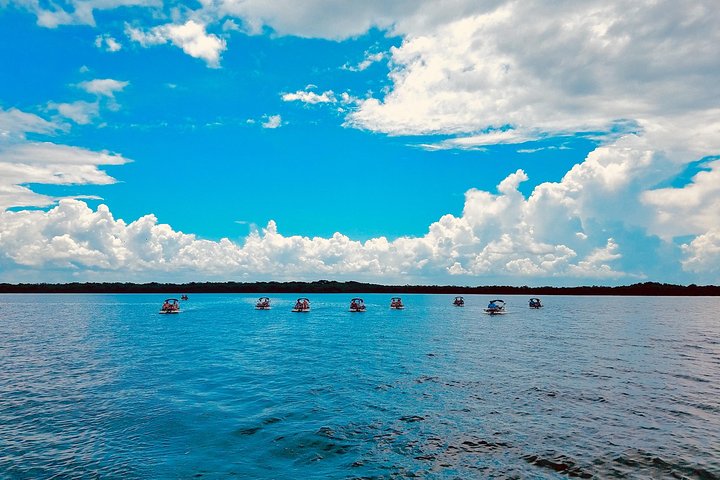 Dos personas pilotando un catamarán CraigCat por las pintorescas vías fluviales de las 10.000 Islas de Florida, foto 7 | wizardtrip