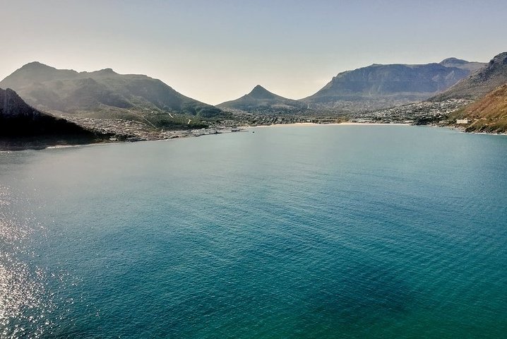Eine malerische Tagestour zu den Highlights Kapstadts, einschließlich Tafelberg, Pinguinen und Kap-Point, Foto 7 | wizardtrip