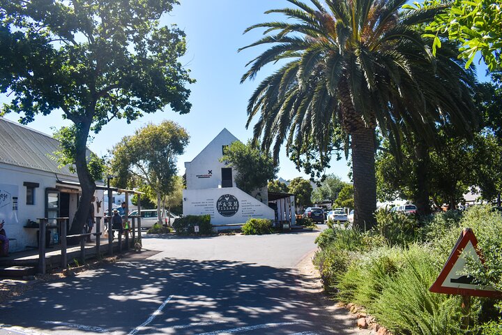 Eine malerische Tagestour zu den Highlights Kapstadts, einschließlich Tafelberg, Pinguinen und Kap-Point, Foto 11 | wizardtrip