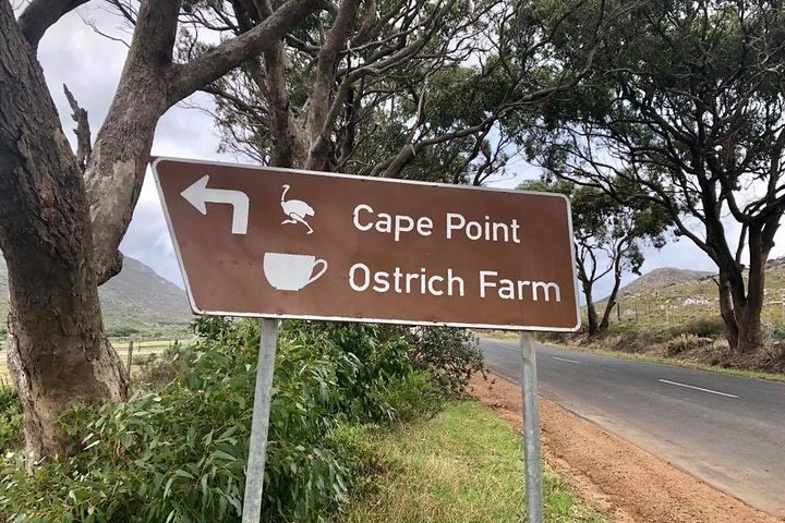 Eine malerische Tagestour zu den Highlights Kapstadts, einschließlich Tafelberg, Pinguinen und Kap-Point, Foto 12 | wizardtrip