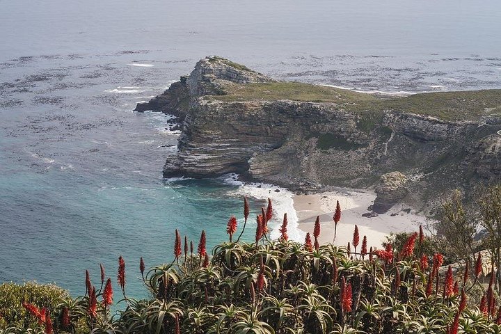 Eine malerische Tagestour zu den Highlights Kapstadts, einschließlich Tafelberg, Pinguinen und Kap-Point, Foto 13 | wizardtrip