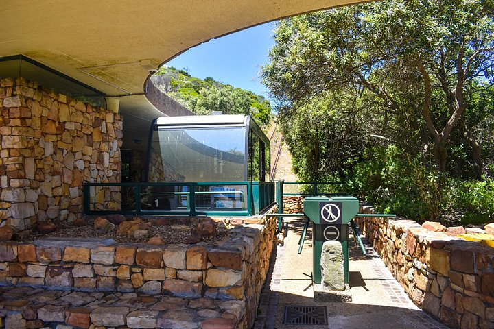 Eine malerische Tagestour zu den Highlights Kapstadts, einschließlich Tafelberg, Pinguinen und Kap-Point, Foto 23 | wizardtrip