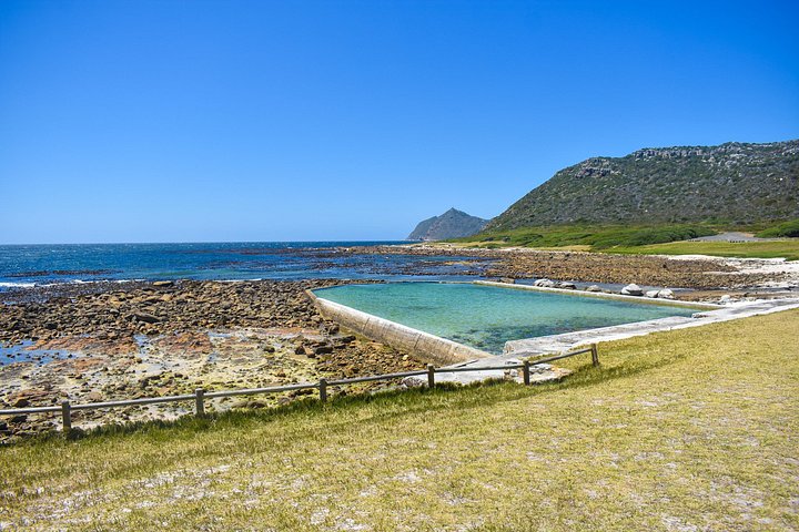 Eine malerische Tagestour zu den Highlights Kapstadts, einschließlich Tafelberg, Pinguinen und Kap-Point, Foto 26 | wizardtrip