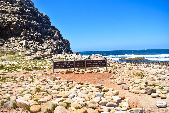 Eine malerische Tagestour zu den Highlights Kapstadts, einschließlich Tafelberg, Pinguinen und Kap-Point, Foto 27 | wizardtrip
