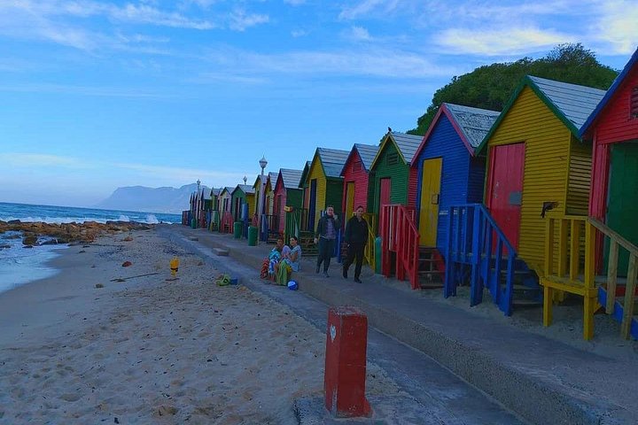 Eine malerische Tagestour zu den Highlights Kapstadts, einschließlich Tafelberg, Pinguinen und Kap-Point, Foto 31 | wizardtrip
