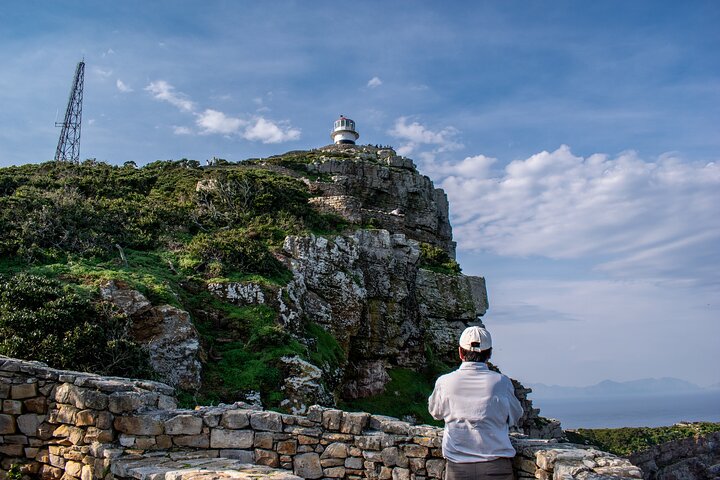Heldagstur som utforskar Godahoppsudden, pingvinerna vid Boulders Beach och natursköna kustvägar från Kapstaden, foto 7 | wizardtrip