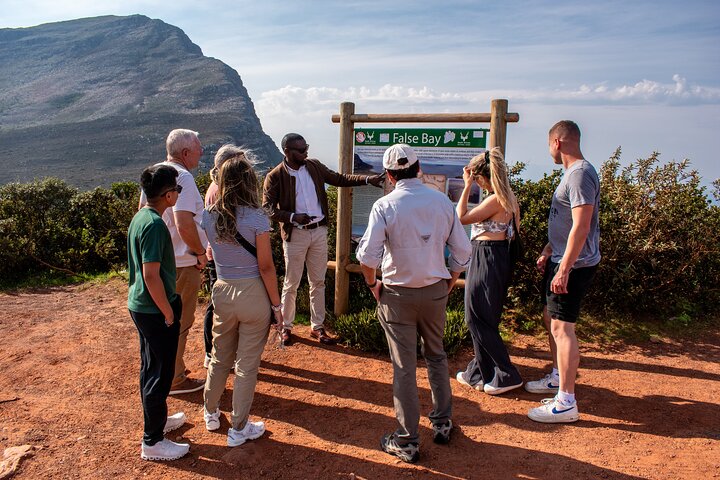 Heldagstur som utforskar Godahoppsudden, pingvinerna vid Boulders Beach och natursköna kustvägar från Kapstaden, foto 9 | wizardtrip