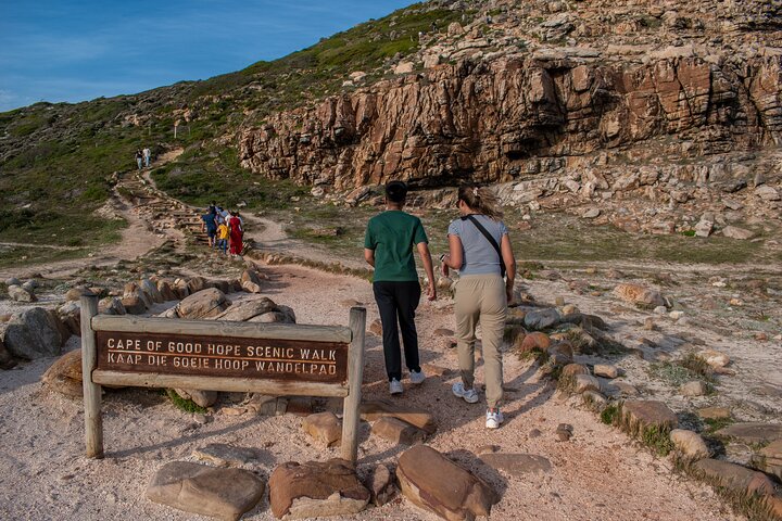 Heldagstur som utforskar Godahoppsudden, pingvinerna vid Boulders Beach och natursköna kustvägar från Kapstaden, foto 12 | wizardtrip