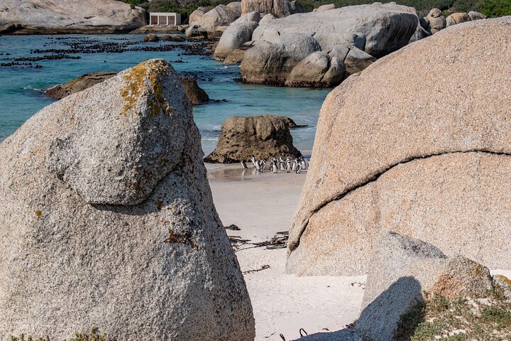 Heldagstur som utforskar Godahoppsudden, pingvinerna vid Boulders Beach och natursköna kustvägar från Kapstaden, foto 20 | wizardtrip