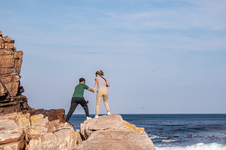 Heldagstur som utforskar Godahoppsudden, pingvinerna vid Boulders Beach och natursköna kustvägar från Kapstaden, foto 21 | wizardtrip