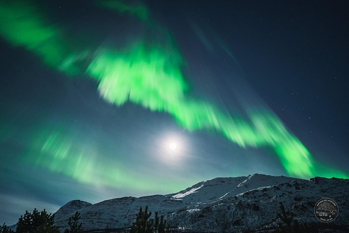 Noorderlichtjacht per minibus vanuit Tromsø, Noorwegen, met aurora fotografie, foto 7 | wizardtrip