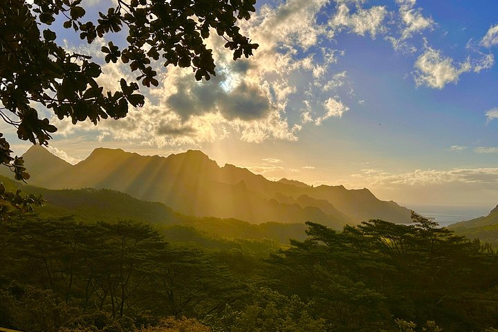湾、山、パイナップル畑を含むモ- アのハイライトの景色の良いツアー、写真23 | wizardtrip