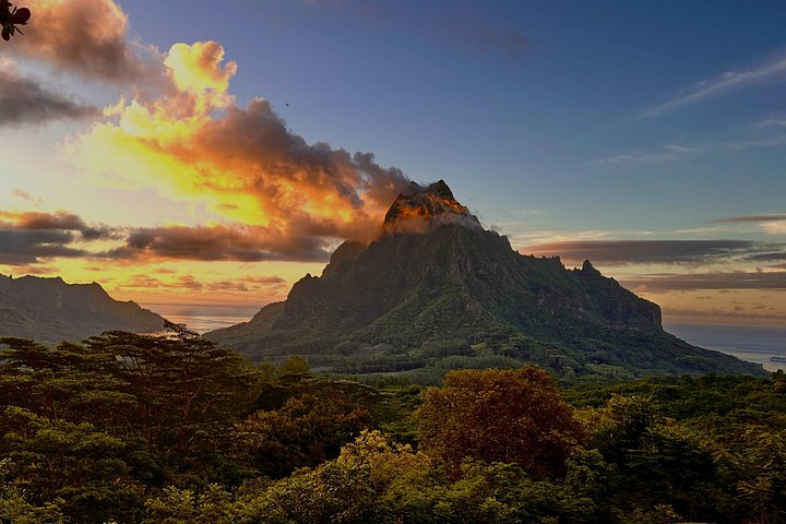 湾、山、パイナップル畑を含むモ- アのハイライトの景色の良いツアー、写真24 | wizardtrip