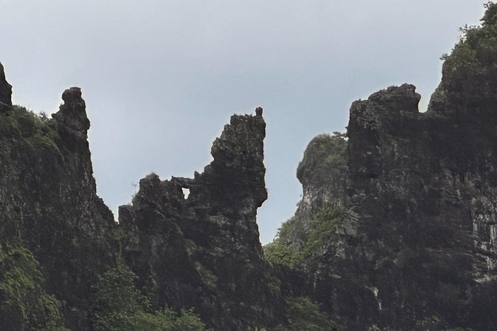 湾、山、パイナップル畑を含むモ- アのハイライトの景色の良いツアー、写真27 | wizardtrip