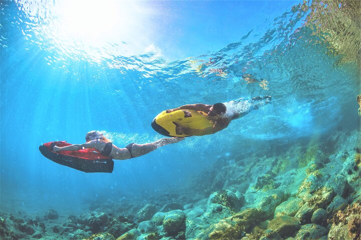 90-minutters guidet snorkle- og Seabob-tur til Fort Lauderdale-revene | wizardtrip