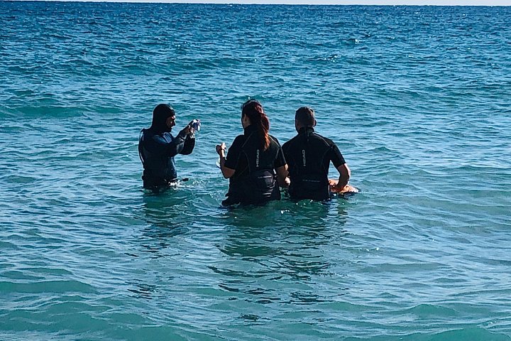 Erleben Sie ein aufregendes Seabob-Unterwasserabenteuer und erkunden Sie Riffe und Meereslebewesen in Fort Lauderdale, Foto 10 | wizardtrip
