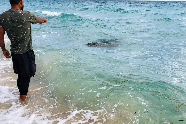 Erleben Sie ein aufregendes Seabob-Unterwasserabenteuer und erkunden Sie Riffe und Meereslebewesen in Fort Lauderdale, Foto 11 | wizardtrip
