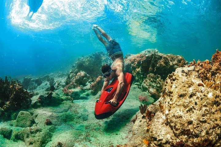 Erleben Sie ein aufregendes Seabob-Unterwasserabenteuer und erkunden Sie Riffe und Meereslebewesen in Fort Lauderdale, Foto 17 | wizardtrip