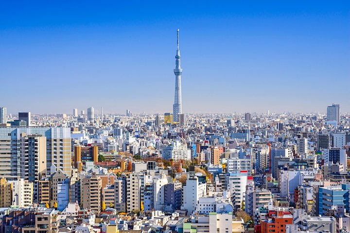Privat lyxig chaufförstur som utforskar Tokyos ikoniska tempel, torn, marknader och livliga gatubilder, foto 6 | wizardtrip