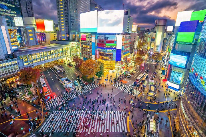 Privat lyxig chaufförstur som utforskar Tokyos ikoniska tempel, torn, marknader och livliga gatubilder, foto 7 | wizardtrip
