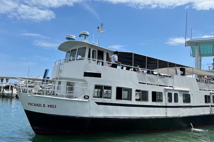 Naturskønt bådcruise af Miamis skyline og Biscayne Bay, der viser byens vartegn og palæer ved vandet, foto 13 | wizardtrip