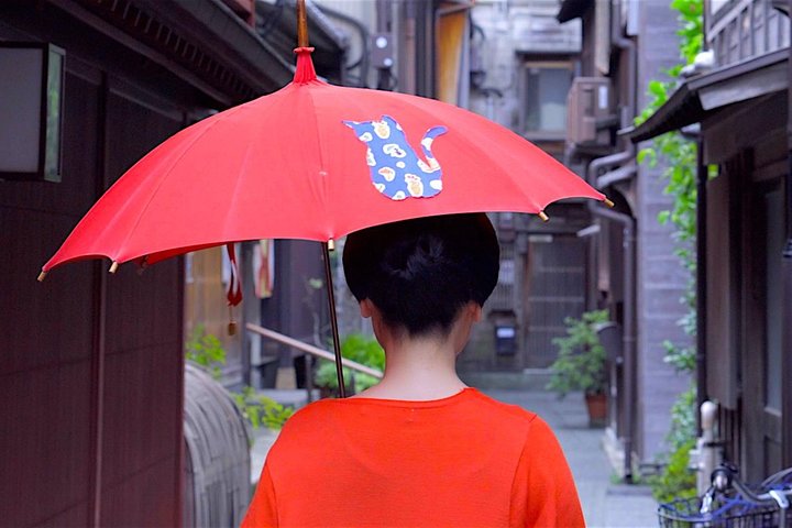 Kanazawa Half Day Tour (Private Guide) | wizardtrip
