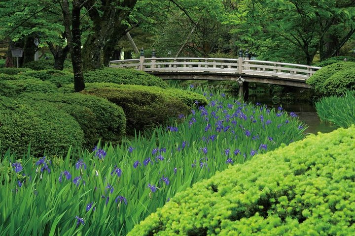 Privat tur i Kanazawa med historiska trädgårdar, samurajdistrikt och geishaområden, foto 7 | wizardtrip