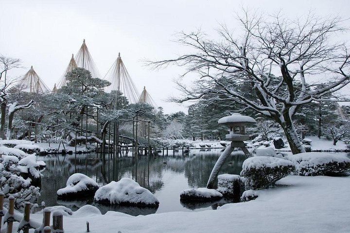 Privat tur i Kanazawa med historiska trädgårdar, samurajdistrikt och geishaområden, foto 13 | wizardtrip