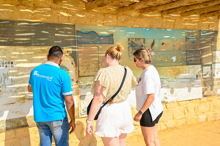 Ervaar een spannende woestijnsafari in Fayoum, Egypte, met 4x4 ritten, kamelentochten en adembenemende natuurwonderen, foto 6 | wizardtrip