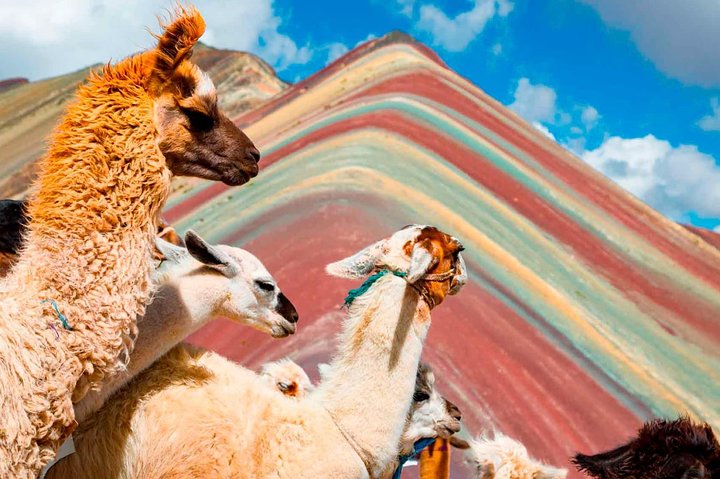 Excursion d'une journée complète à la Montagne de l'Arc-en-ciel avec Vallée Rouge en option | wizardtrip