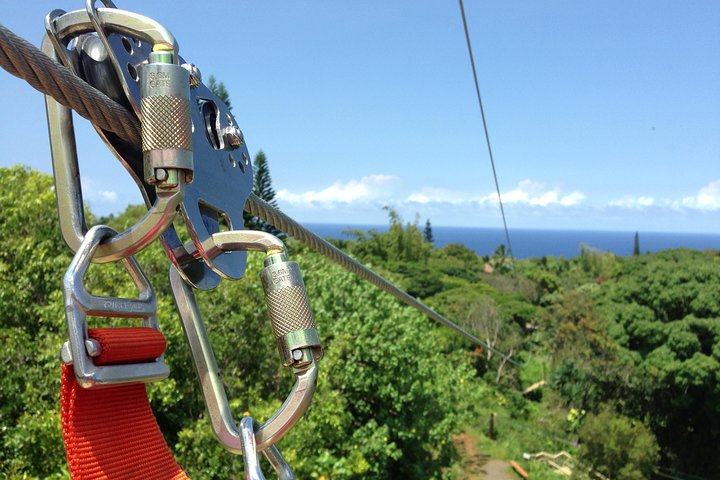 マウイ島ジップラインエコアドベンチャー：ジャングルを駆け抜ける8つのライン | wizardtrip