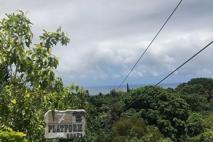 Upplev ett spännande zipline-äventyr genom Mauis frodiga djungel, sväva över träd och njut av natursköna vyer, foto 6 | wizardtrip