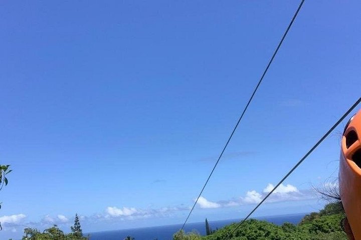 Upplev ett spännande zipline-äventyr genom Mauis frodiga djungel, sväva över träd och njut av natursköna vyer, foto 7 | wizardtrip