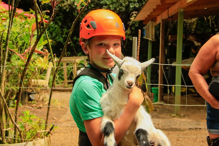 Upplev ett spännande zipline-äventyr genom Mauis frodiga djungel, sväva över träd och njut av natursköna vyer, foto 10 | wizardtrip