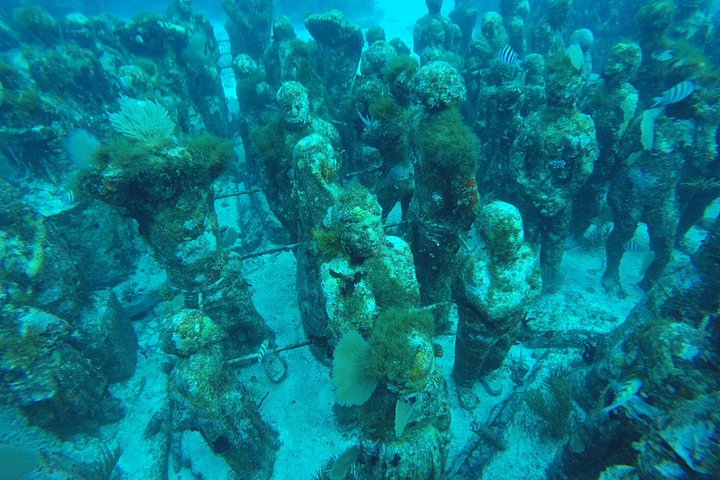 Aventura de snorkel na Isla Mujeres, México, explorando recifes de coral e vida marinha, foto 8 | wizardtrip