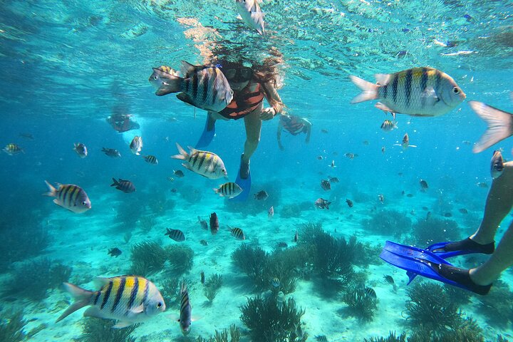 Isla Mujeres | wizardtrip