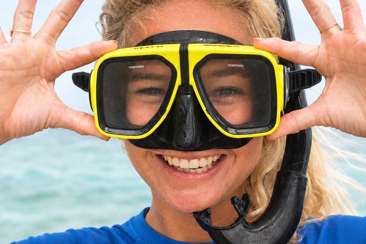 Catamaran zeil- en snorkelavontuur op Aruba met stops bij scheepswrakken en koraalriffen, foto 12 | wizardtrip