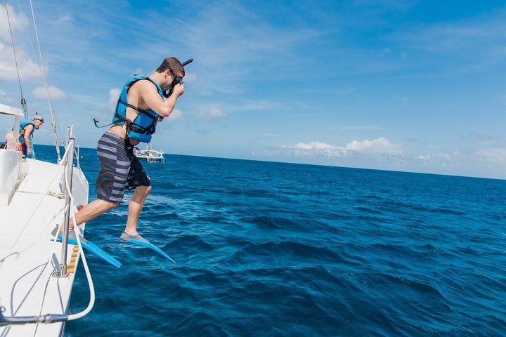 Catamaran zeil- en snorkelavontuur op Aruba met stops bij scheepswrakken en koraalriffen, foto 13 | wizardtrip